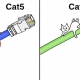 Cat5 vs Cat6 cables: Cartoon cats playfully cling to labeled network cables.