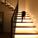 Motion sensor stair lights in modern Canadian home with cat.